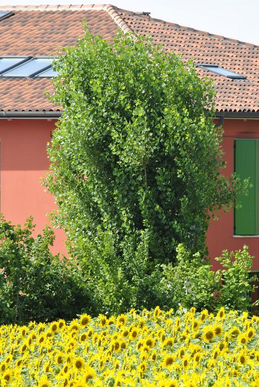La Cascina B&B Calderara di Reno Exterior photo